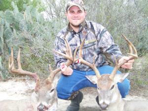 Whitetail